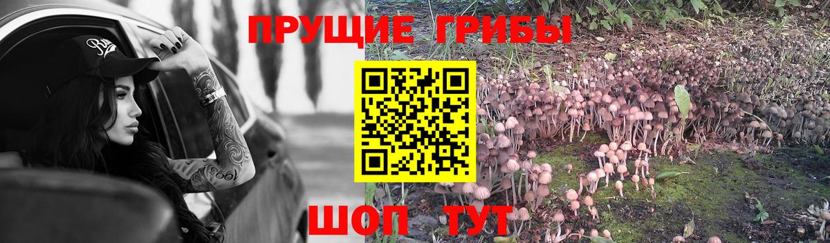 Галлюциногенные грибы ЛСД  Вход с VPN  Мичуринск 