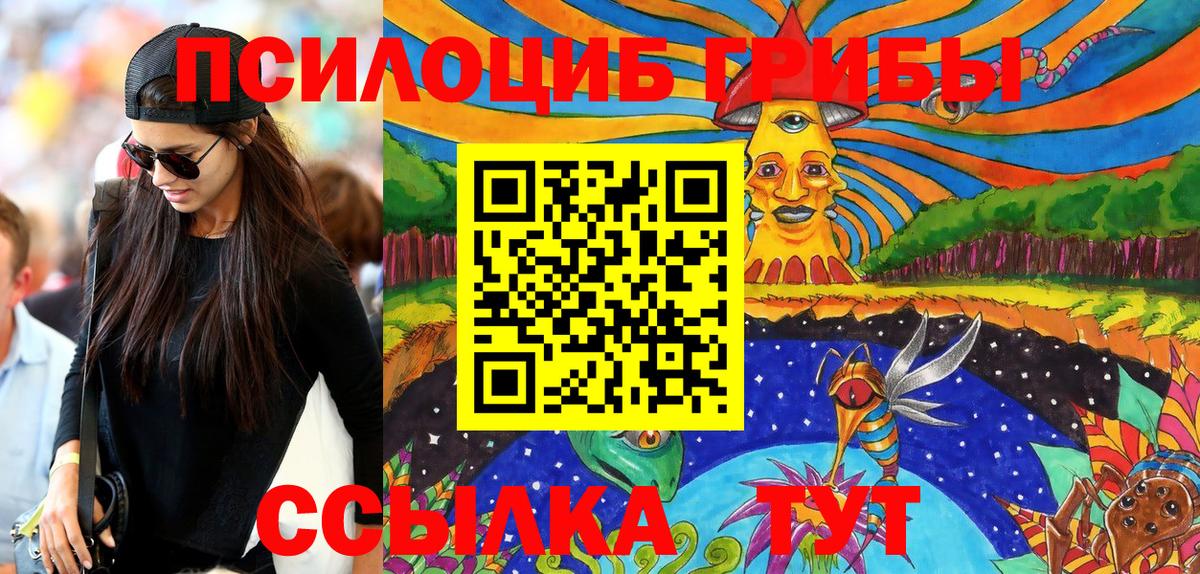 Галлюциногенные грибы Psilocybine cubensis Мичуринск